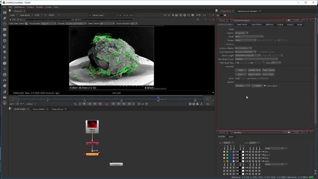 NukeX for Medical Imaging Tutorial 2.2