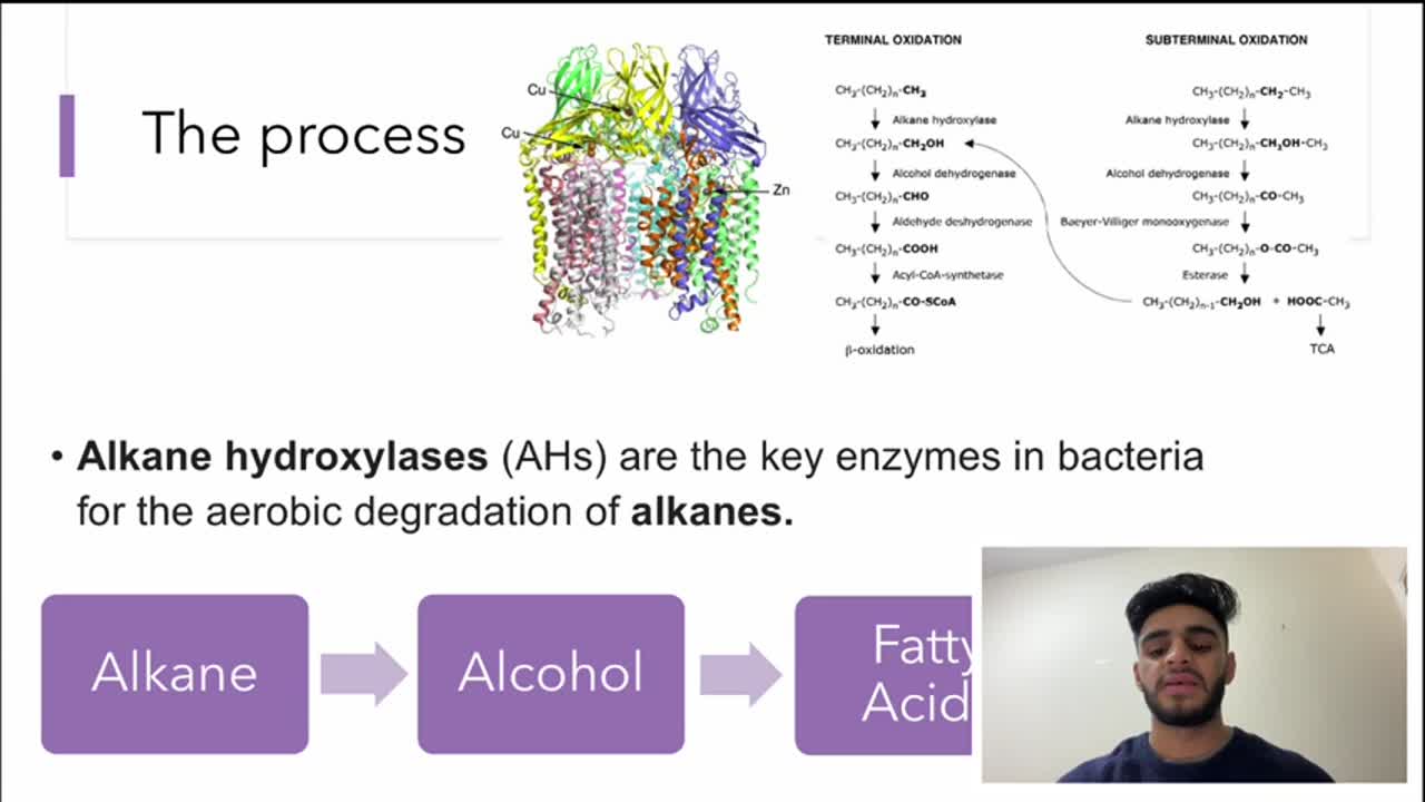 bioremediation of crude oil thesis